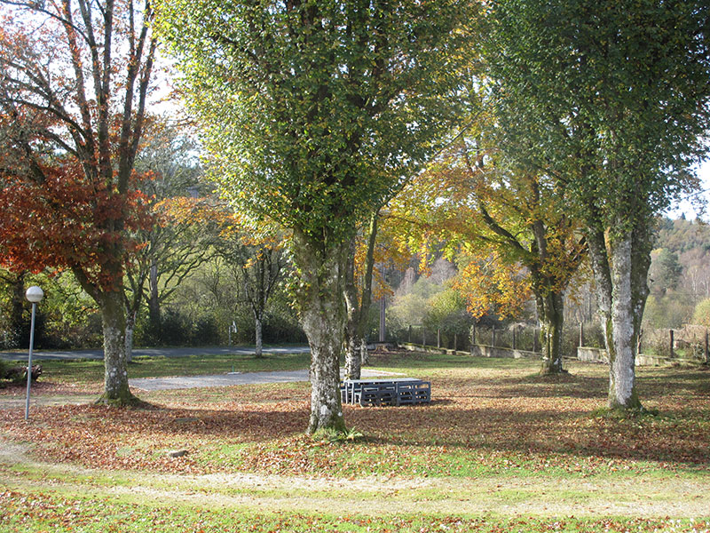 Jardin et terrain du gîte